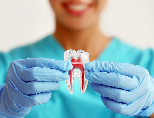 Endodontia Odonto Vila Maria